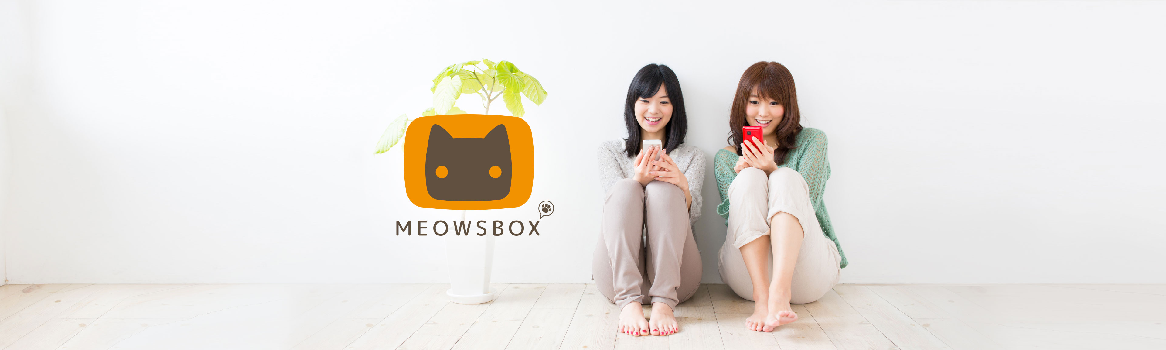Welcome to Meowsbox